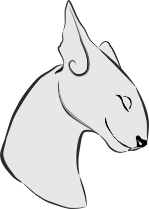 Запеченный корм